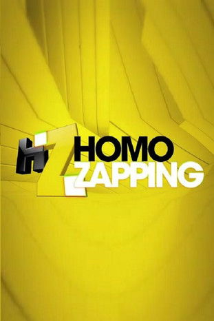 Homo Zapping — постер