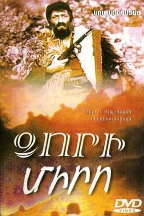 Ձորի Միրոն — постер