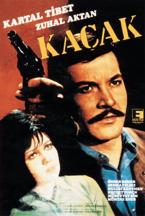 Kaçak — постер