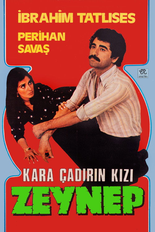 Kara Çadırın Kızı Zeynep — постер
