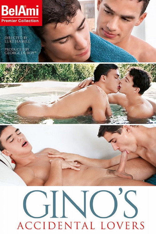 Gino's Accidental Lovers — постер