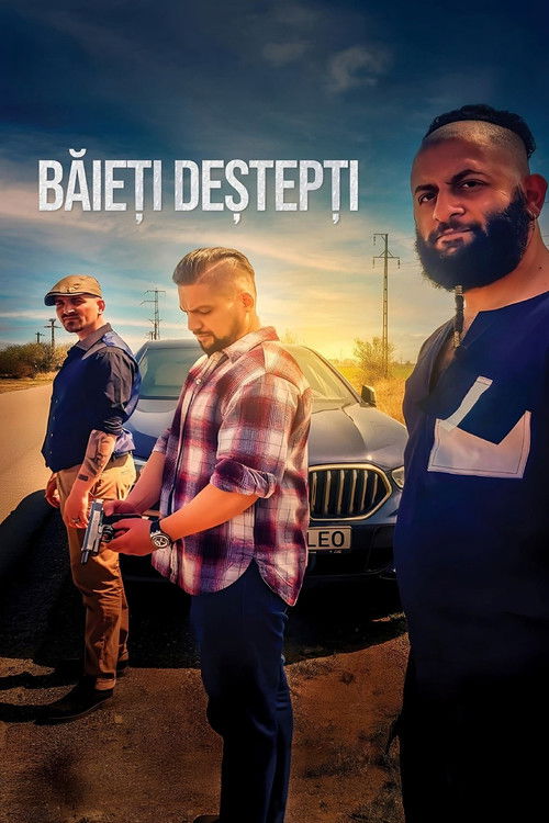 Băieți deștepți — постер