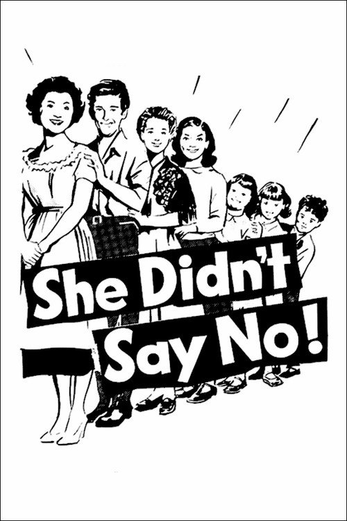 She Didn't Say No! — постер