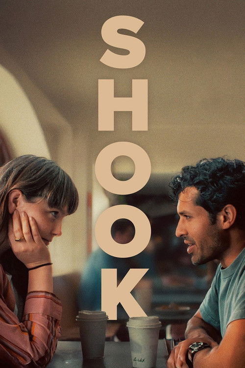 Shook — постер