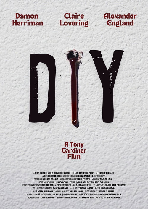 DIY — постер