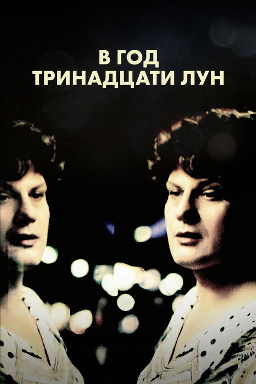 В год тринадцати лун — постер
