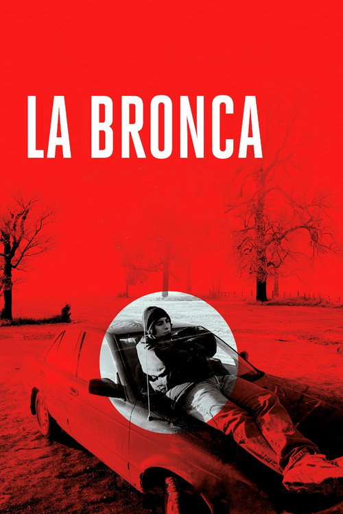 La bronca — постер
