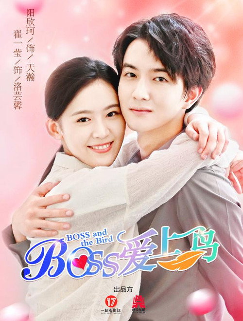 Boss爱上鸟 — постер