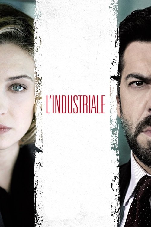 L'industriale — постер