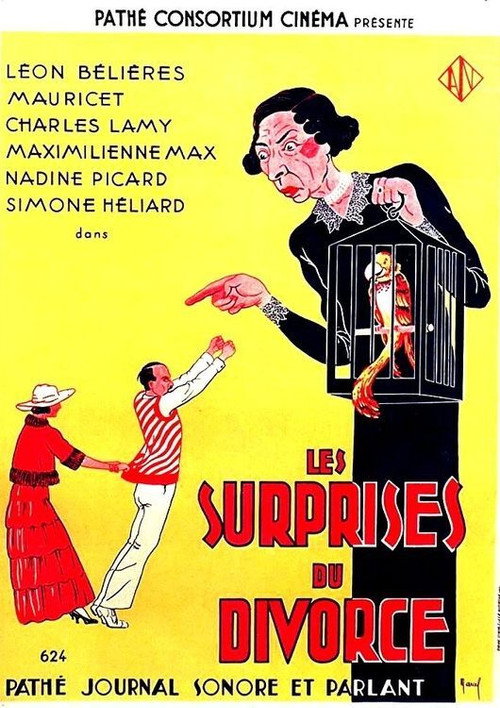Les surprises du divorce — постер