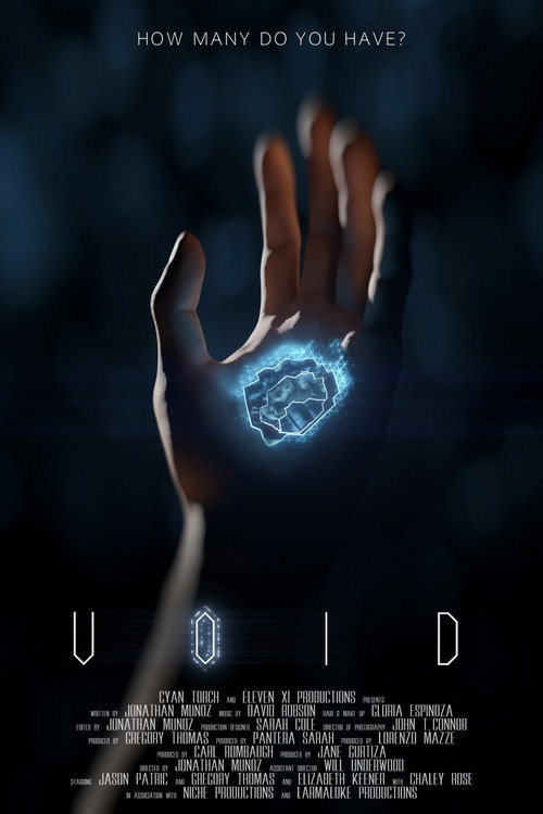 Void — постер