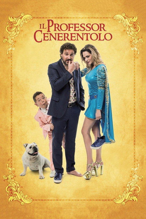 Il professor Cenerentolo — постер