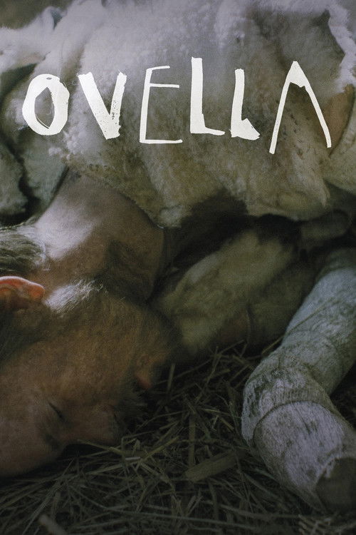 Ovella — постер