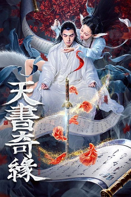 天书奇缘 — постер