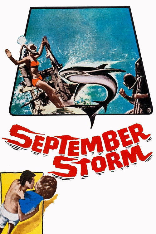 September Storm — постер