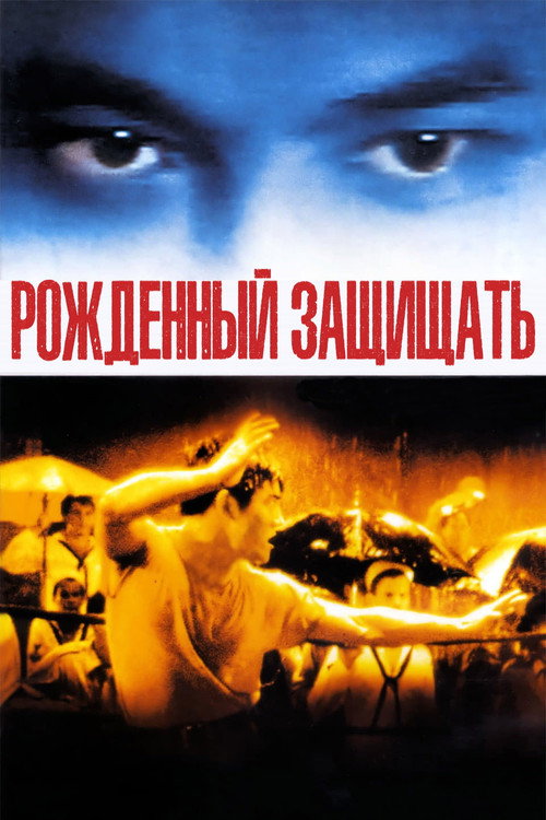 Рожденный защищать — постер