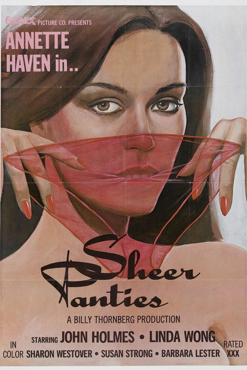 Sheer Panties — постер