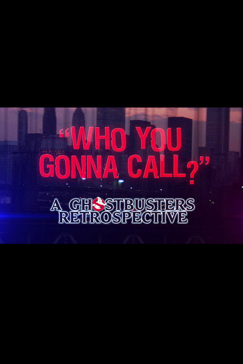 Who You Gonna Call?: A Ghostbusters Retrospective — постер