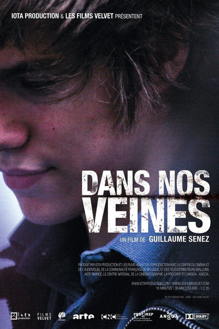 Dans nos veines — постер
