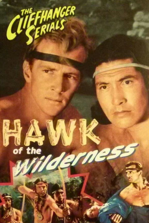 Hawk of the Wilderness — постер