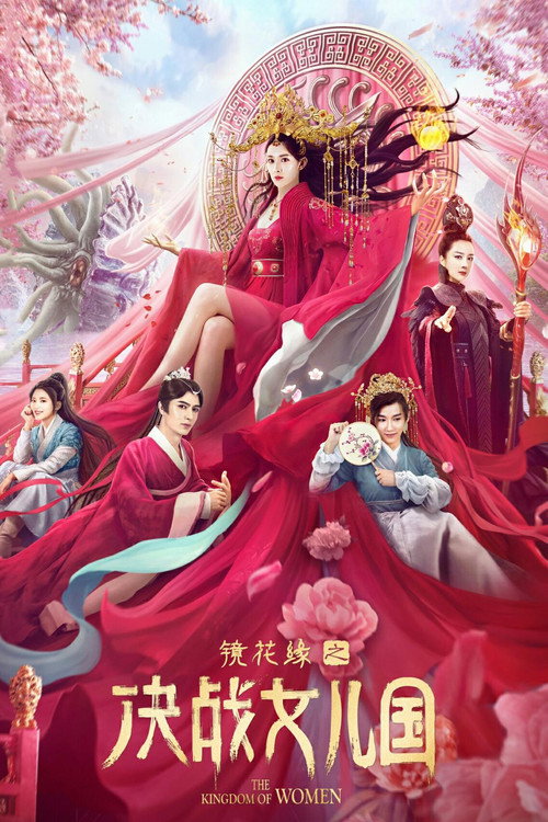镜花缘之决战女儿国 — постер