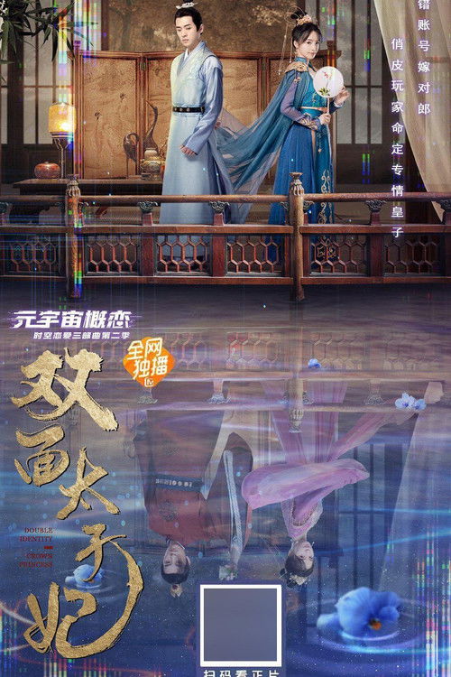 双面太子妃 — постер
