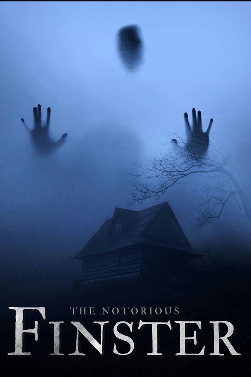 The Notorious Finster — постер