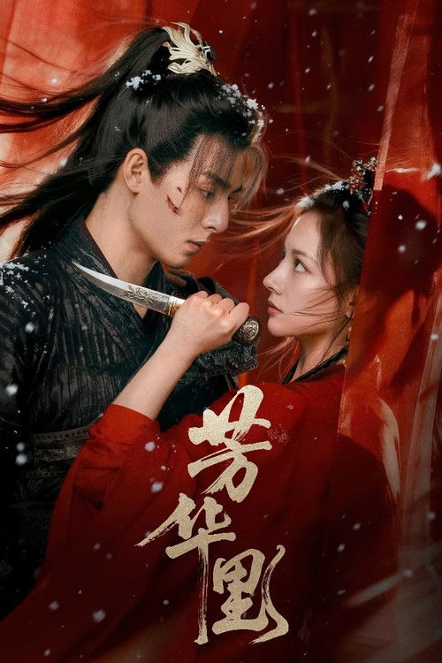 芳华里 — постер