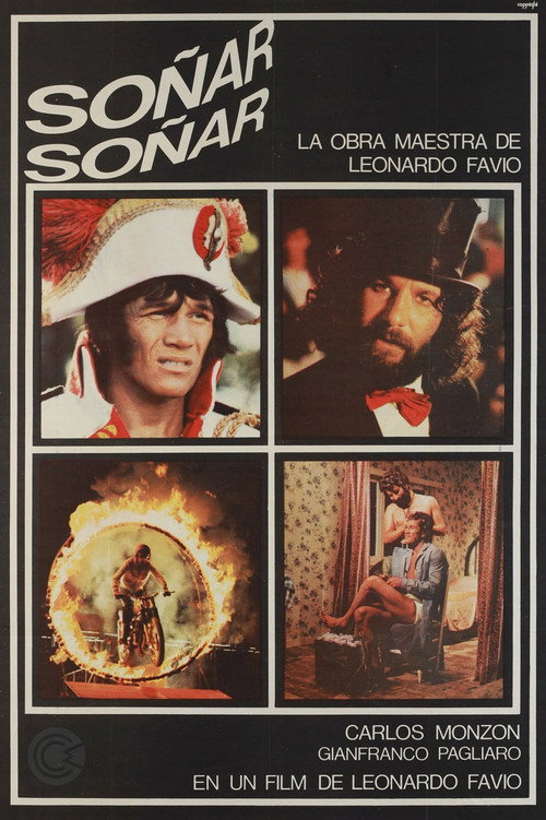 Soñar, soñar — постер