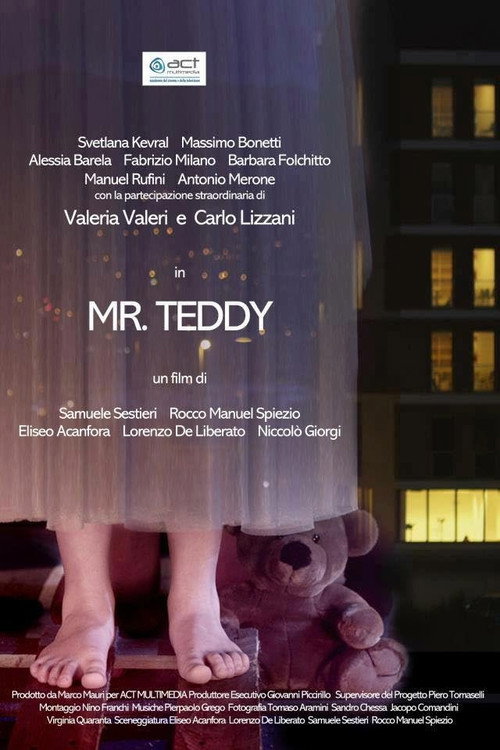 Mr. Teddy — постер