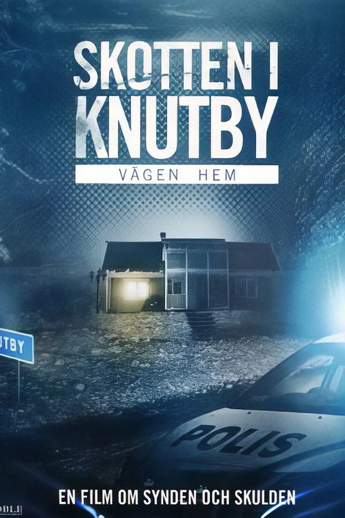 Vägen hem — постер