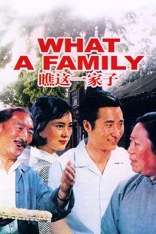 瞧这一家子 — постер