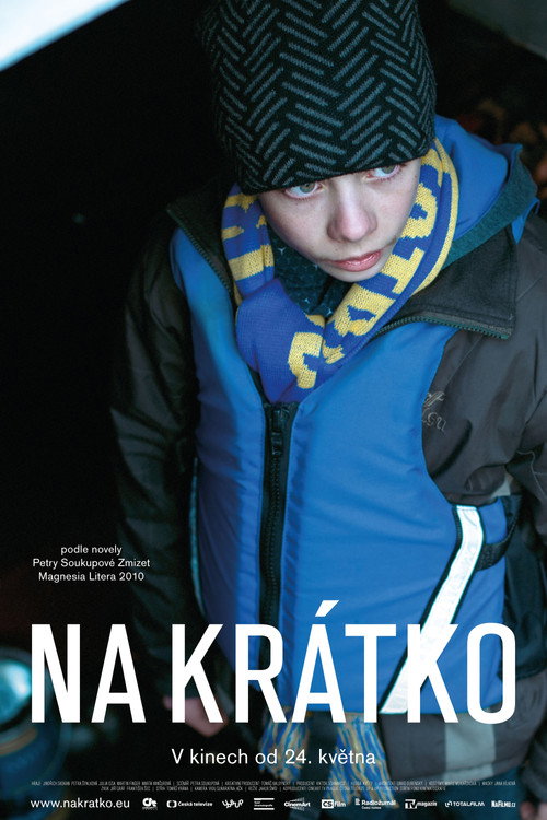 Na krátko — постер