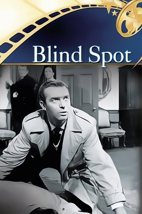 Blind Spot — постер
