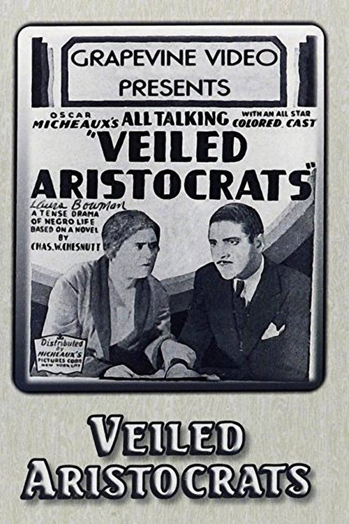 Veiled Aristocrats — постер
