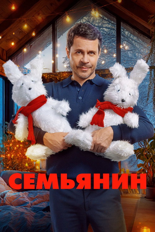 Семьянин — постер