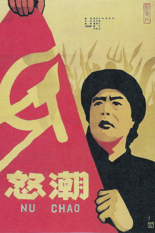 怒潮 — постер