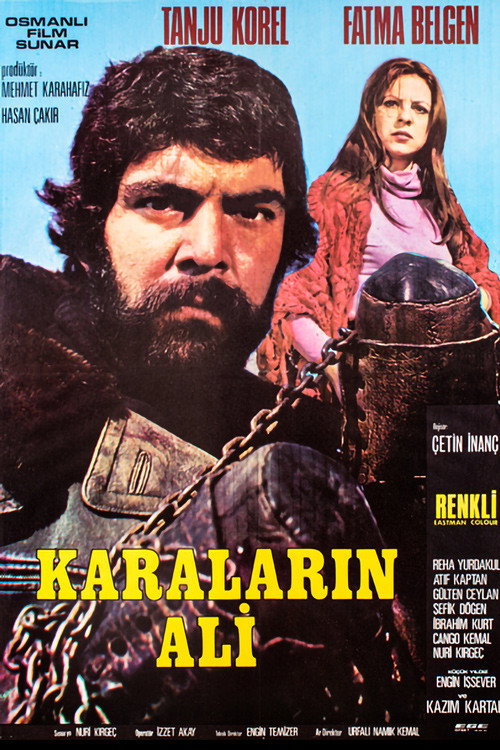 Karaların Ali — постер
