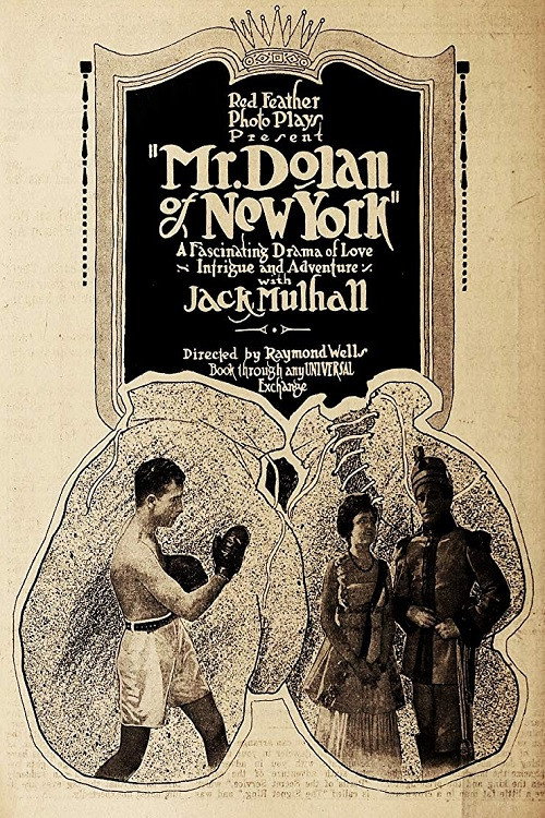 Mr. Dolan of New York — постер