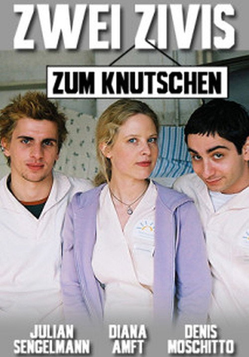 Zwei Zivis zum Knutschen — постер