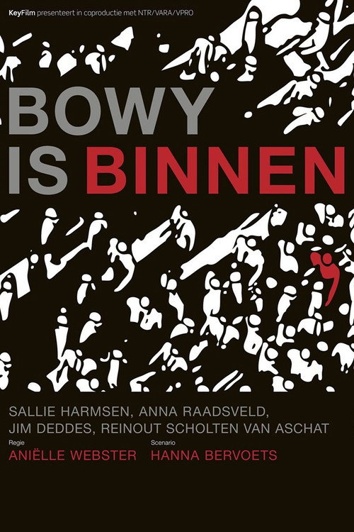 Bowy is binnen — постер