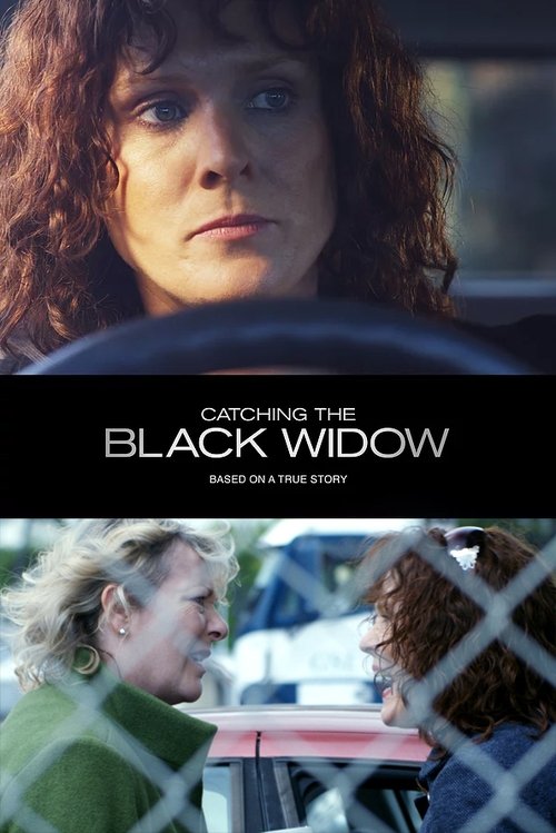 Catching the Black Widow — постер