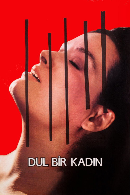 Dul Bir Kadın — постер