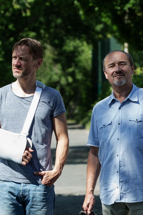Případ pro malíře — постер