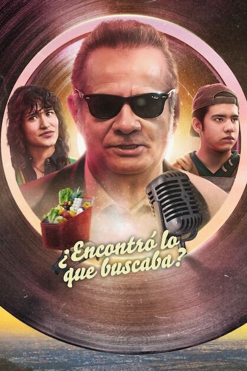 ¿Encontró lo que buscaba? — постер