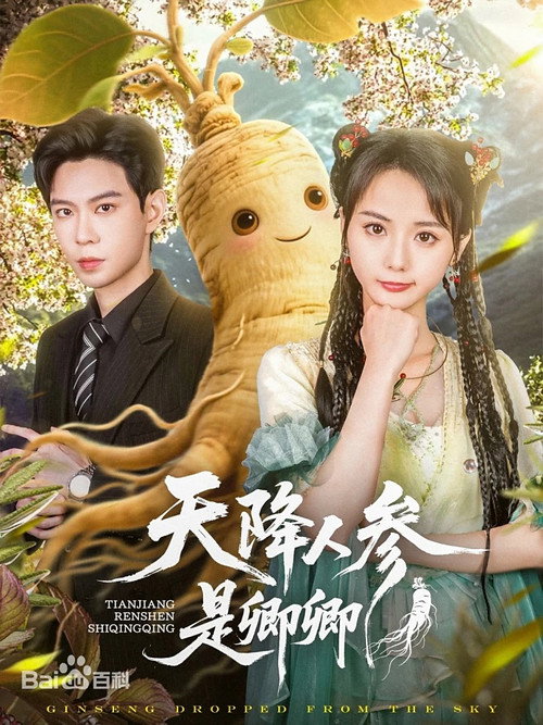 天降人参是卿卿 — постер