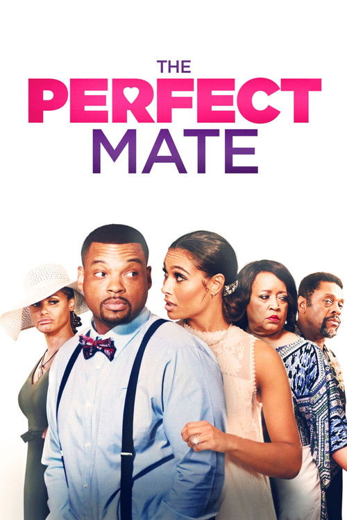 The Perfect Mate — постер