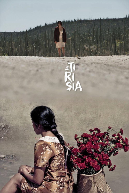 La Tirisia — постер