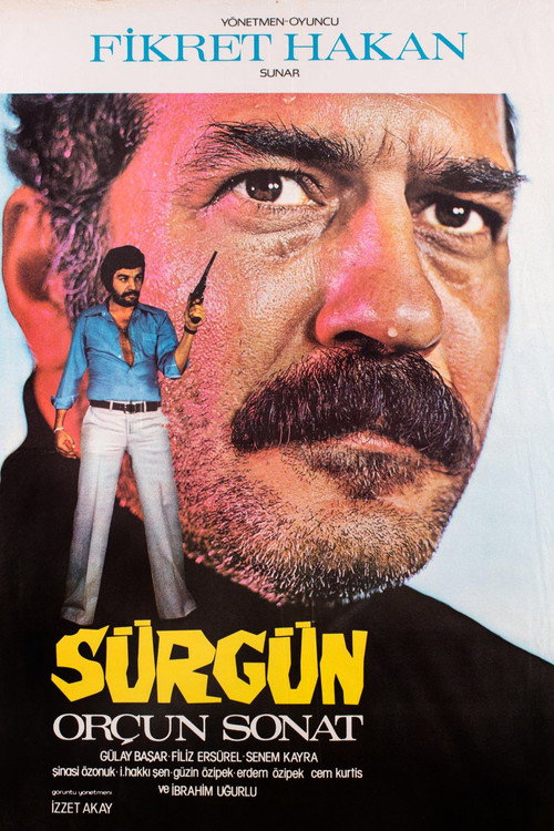 Sürgün — постер