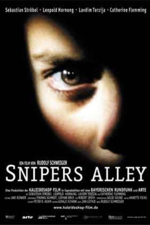 Snipers Alley — постер